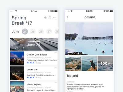 Travel Bug app design iceland travel