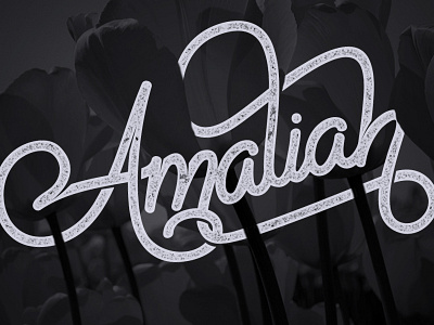 Amaliah calligraphy design hand lettering illustrator kulapanik lettering photoshop sketch vector