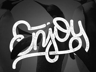 Enjoy Ig brush script calligraphy design hand lettering illustrator lettering logo logotype photoshop sketch typography vector