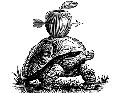 The Tortoise Illustration engraving ink art line art pen and ink scratchboard steven noble woodcut