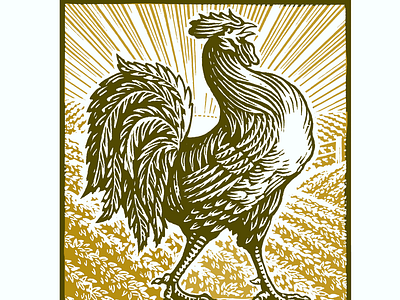 Rooster Woodcut Illustration etching farm animals illustration line art logo pen and ink steven noble woodcut