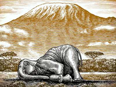 The Sleeping Elephant Illustration artwork illustration illustrator pen and ink scratchboard steven noble woodcut