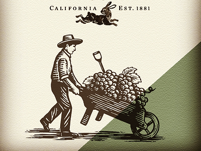 Oakville Grocery illustration by Steven Noble