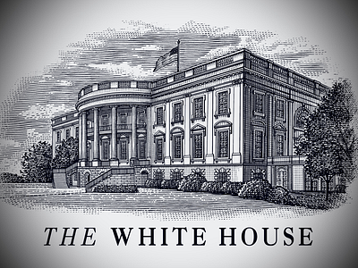 The White House architecture artwork etching illustration line art pen and ink scratchboard steven noble woodcut