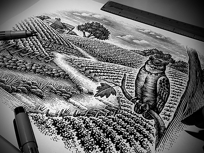 Charles Creek Illustration artist artwork etching illustration landscape illustration line art linocut pen and ink scratchboard steven noble woodcut