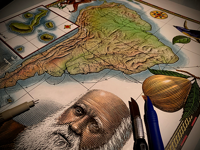 Charles Darwin’s Voyage engraving etching illustration ink art line art pen and ink scratchboard steven noble woodcut