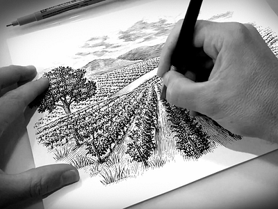 Scratchboard woodcut landscape illustration engraving etching illustration ink art line art pen and ink scratchboard steven noble woodcut