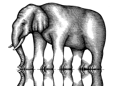 Elephant Trompe L’Oeil illustration illustration ink art line art pen and ink scratchboard steven noble woodcut