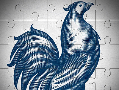 Sauze Tequila Rooster branding design engraving illustration line art pen and ink steven noble vector woodcut woodcuts