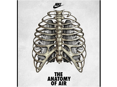 Nike's The Anatomy of Air Illustrated by Steven Noble artwork design engraving etching illustration line art logo scratchboard steven noble