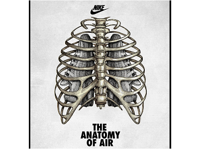 Nike's The Anatomy of Air Illustrated by Steven Noble