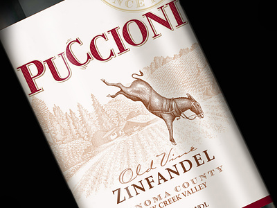 Puccione Wine Label Illustration