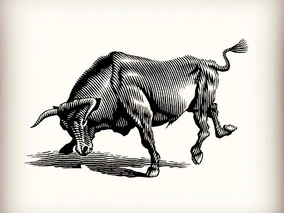 Bull