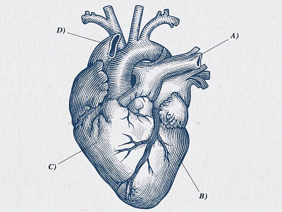 Heart Woodcut