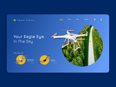 Eagle Vision adobe illustrator branding design drone figma logo ui ux