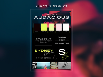 Audacious Brand Kit brand kit branding typography