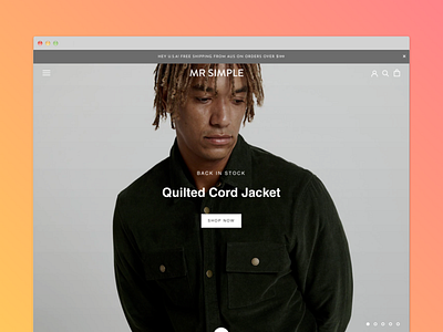 Mr Simple UX design graphic design shopify ux web design website