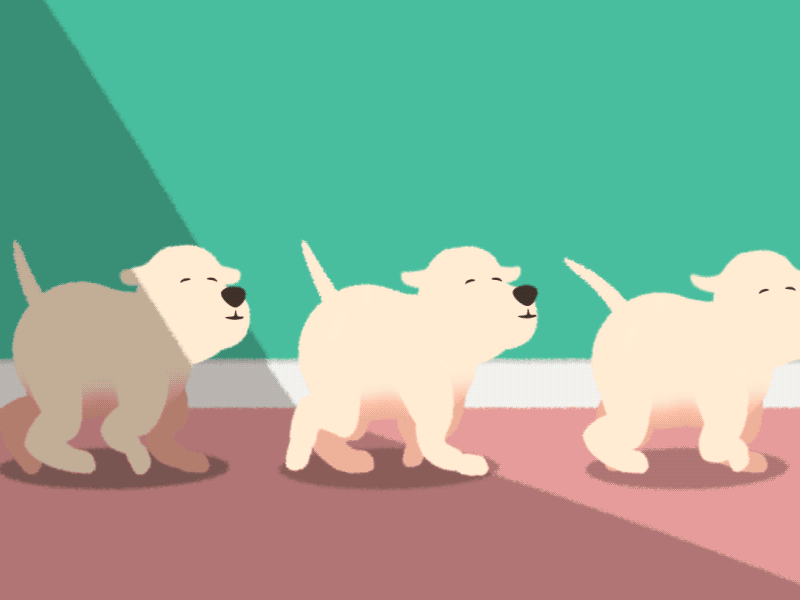 Puppy Parade after effects animation character animation dog loop parade puppy