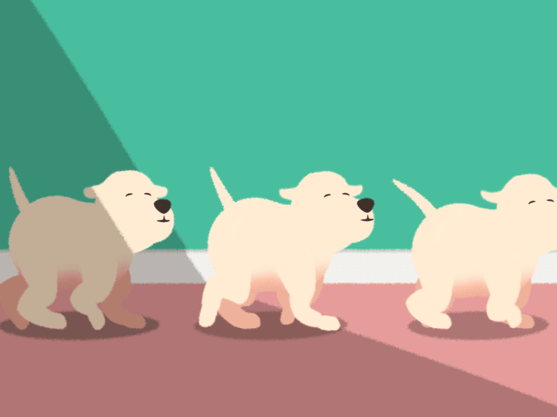 Puppy Parade by Tom Stockley on Dribbble