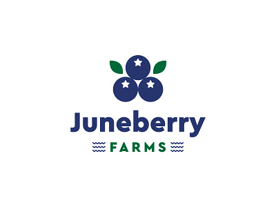 Juneberry Farms - Part 1 berries blue branding branding and identity ecommerce farms fish fruit green identity juneberry leaves logo packagaing print typography water