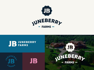 Juneberry Farms badges berry brand branding drop farm identity illustration jaymasterdesign logo package packaging print typography water