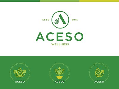 Aceso alphabet custom type design graphic graphic design icon identity illustration logo typography vector