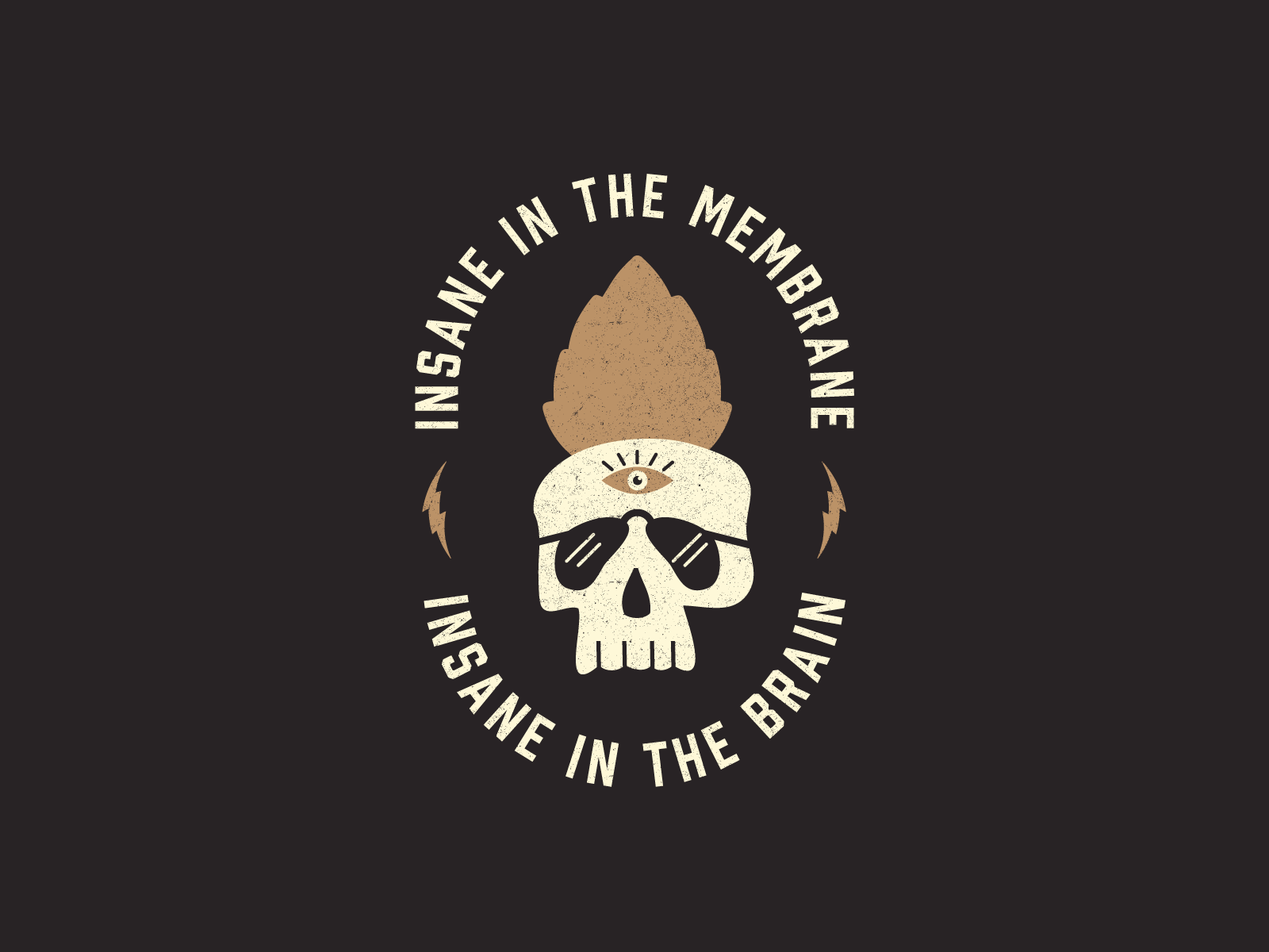 Dribbble - insane-in-membrane-800x600.png by Jay Master