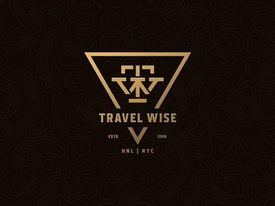 Travel Wise apparel badges brand branding identity logo package package design packaging skateboard skating