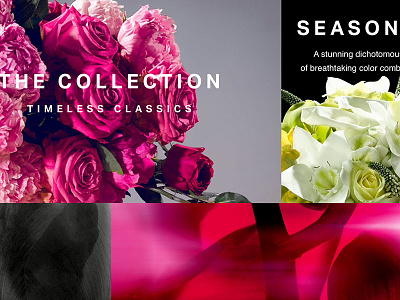 Bloom Flowers flowers online responsive type typography web
