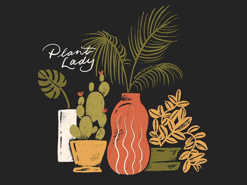 Plant Lady plants fern cactus plant lady lady illustration plant