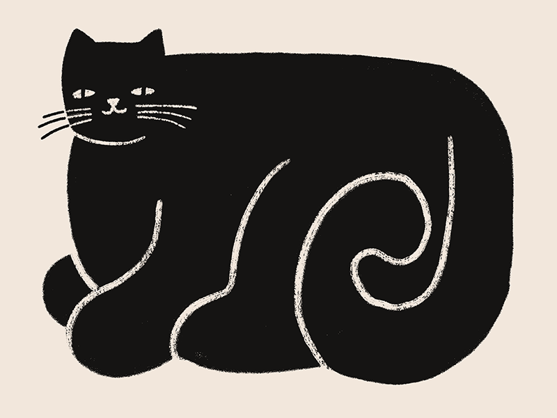 Purrrfect photoshop sketch drawing abstract kitty cat illustration