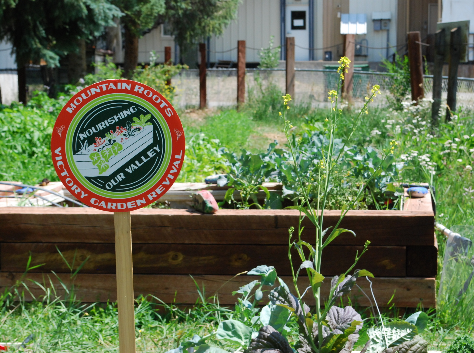 Victory Garden Revival by Studio on Dribbble