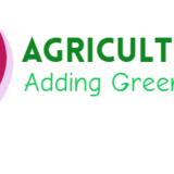 Debendra Chandra Pattanaik