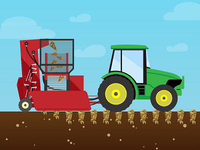 Beet Harvest illustration