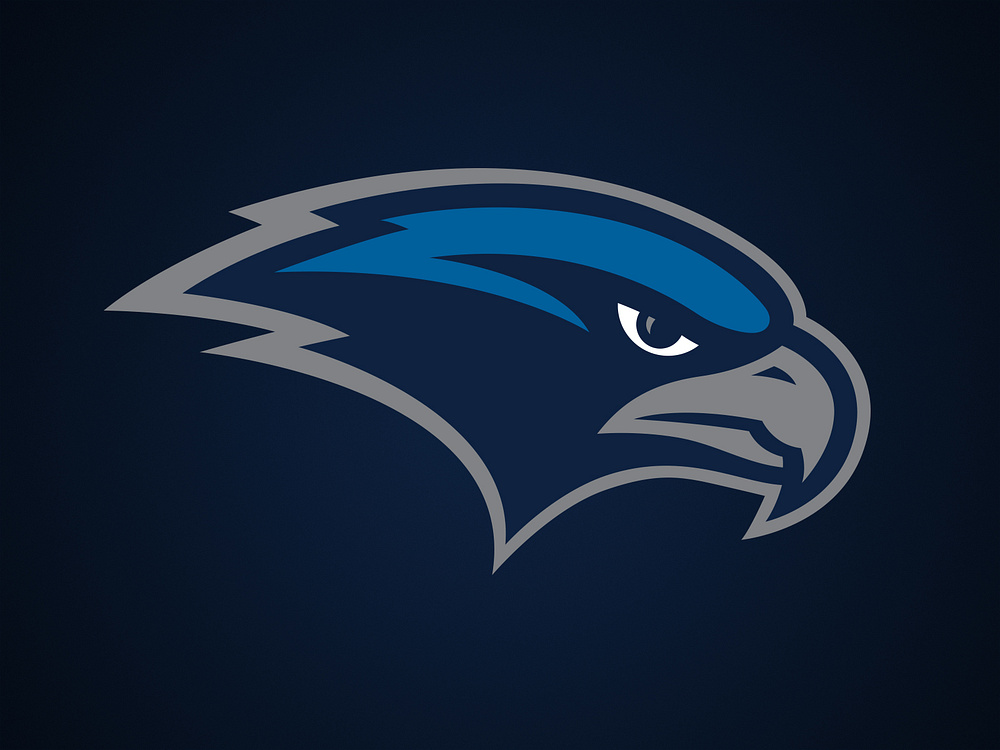 Copper Hill Ninth Ward Falcons Secondary by Ben Barnes on Dribbble