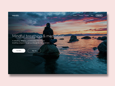 Mindfulness branding call to action design front end development graphic design landing page ui ux web design