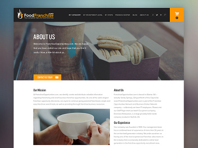 WIP Franchise Company about franchise landing page web design