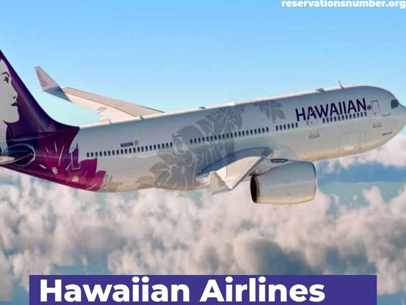 Learn the Easy Way to Change Hawaiian Airlines Flight Ticket by Digital