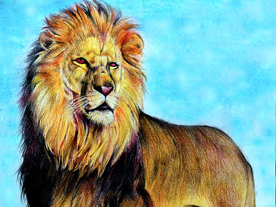 Lion Drawing in Colored Pencil
