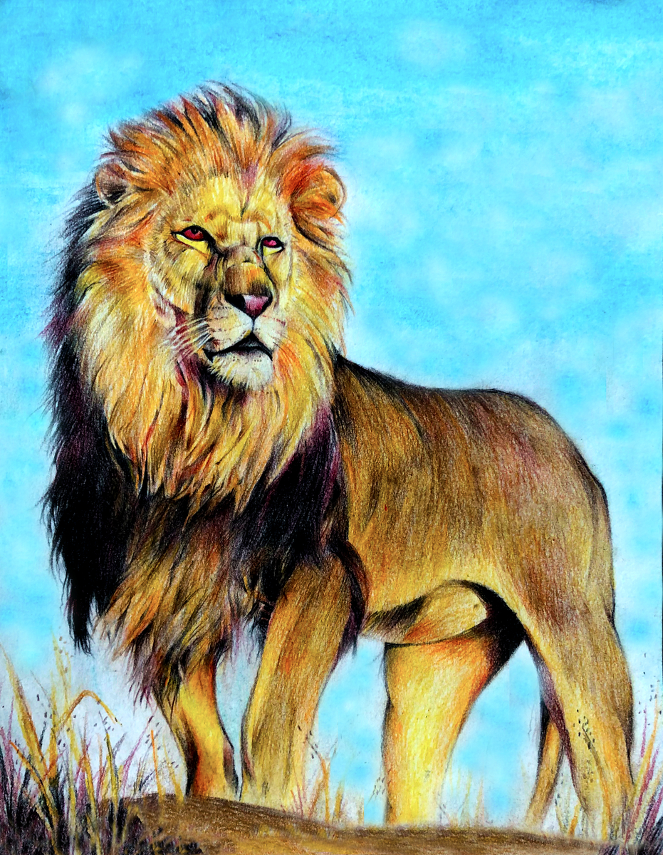 How to draw lion scenery easy step by step /Lion drawing easy with pastel  colour - YouTube | Lion drawing simple, Easy animal drawings, Lion drawing