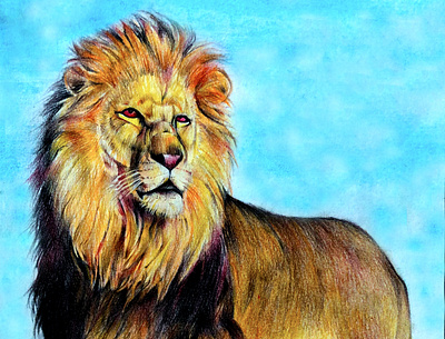 Lion in colored pencil animal art animal drawing color pencil drawing colored pencil colored pencil art colored pencil drawing illustration lion art lion drawing lion king lion king art lion king drawing pencil drawing simba art simba drawing