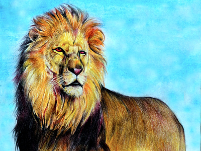 lion animal drawing