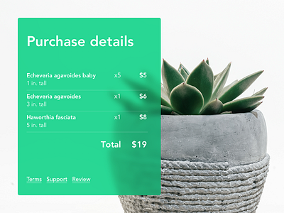 Email receipt: Daily UI 017 checkout dailyui dailyui017 ecommerce plant purchase receipt succulent web