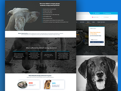 Rolda.com -raising awareness landing page classic dogs graphic design information ui ux