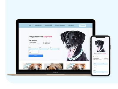 Dog Adoption Website And Mobile App Alessandra Lemnaru Ux Certif