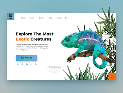 Starting Page of an Online Exotic Zoo animal chamelion daily ui design design ui design uiux landing page starting page ui ui ux web webdesign