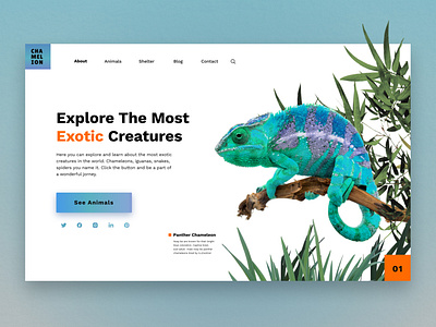 Starting Page of an Online Exotic Zoo