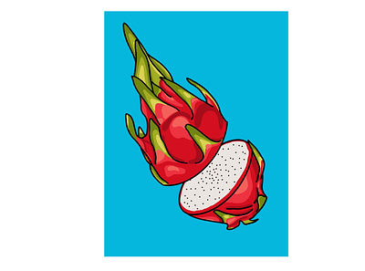 Dragon fruit fruit illustration procreate