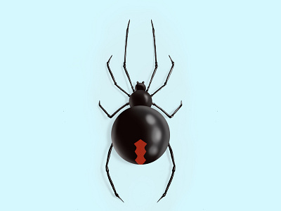 Spider design illustration procreate