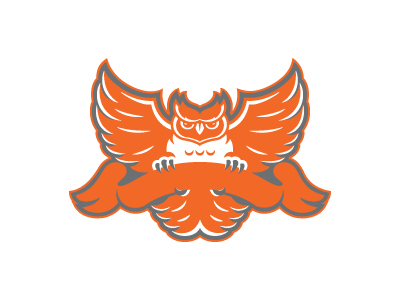 Wise Owl athlete athletics flying mean owl sports wings